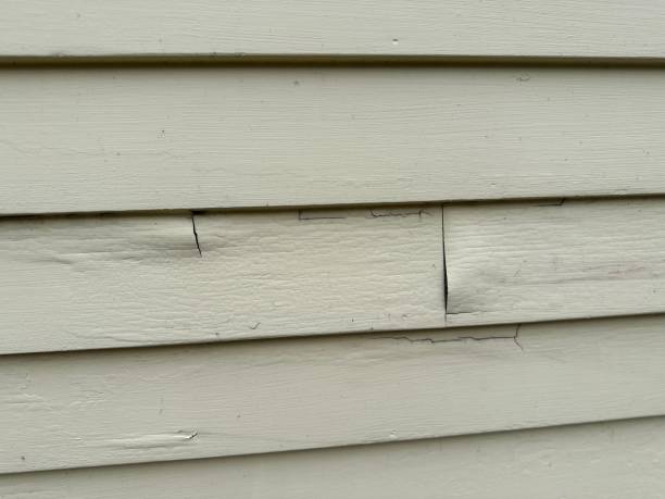 Best Residential Junk Removal  in Barrackville, WV